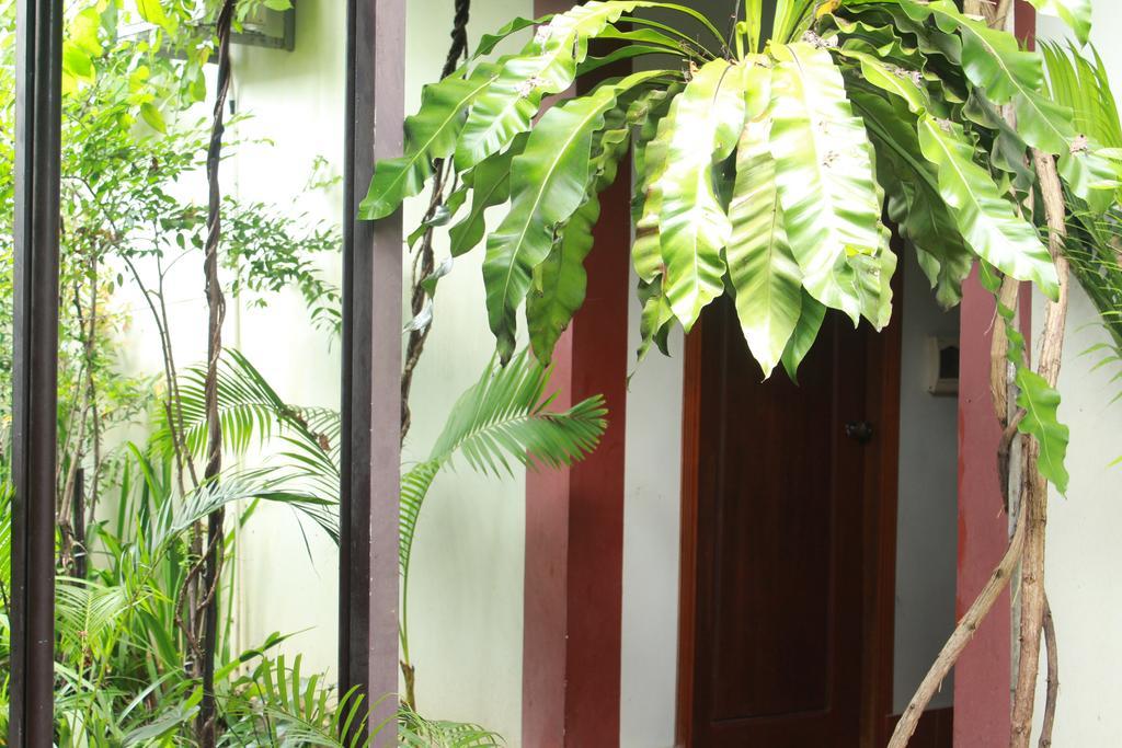 Zana Beach Guesthouse シアヌークビル エクステリア 写真